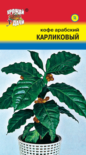 Кофе Арабский карликовый