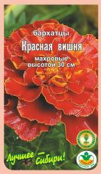 цв. одн. БАРХАТЦЫ КРАСНАЯ ВИШНЯ отклоненные / АГРО САД / НОВИНКА !!!