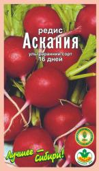 редис АСКАНИЯ 16 дней / АГРО САД /