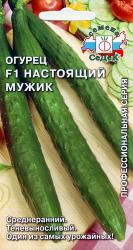 Огурец Настоящий Мужик F1 /Седек/
