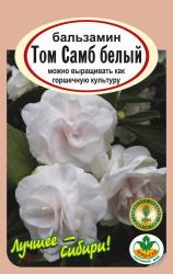 цв. одн. БАЛЬЗАМИН ТОМ САМБ БЕЛЫЙ / АГРО САД / НОВИНКА !!!
