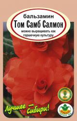 цв. одн. БАЛЬЗАМИН ТОМ САМБ САЛМОН / АГРО САД / НОВИНКА !!!