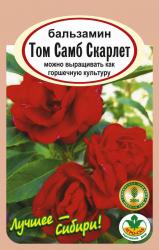 цв. одн. БАЛЬЗАМИН ТОМ САМБ СКАРЛЕТ / АГРО САД / НОВИНКА !!!