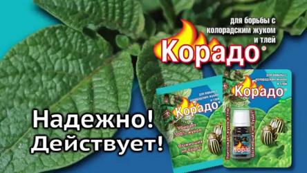 КОРАДО  от ЛУКОВОЙ И МОРКОВНОЙ МУХИ  2 * 2 мл