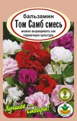 цв. одн. БАЛЬЗАМИН ТОМ САМБ СМЕСЬ / АГРО САД / НОВИНКА !!!
