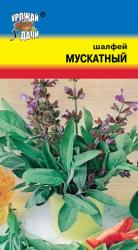 ШАЛФЕЙ МУСКАТНЫЙ / Урожай у Дачи /