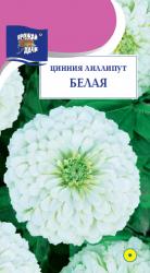 цв. одн. ЦИНИЯ  ЛИЛИПУТ  БЕЛАЯ / Урожай у Дачи /
