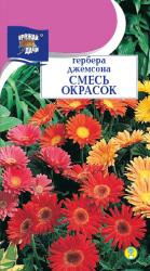 цв. комн. ГЕРБЕРА  ДЖЕМСОНА  СМЕСЬ / Урожай у Дачи /