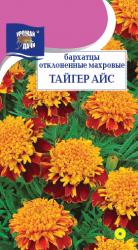 цв. одн. БАРХАТЦЫ ТАЙГЕР АЙС махровые / Урожай у Дачи /