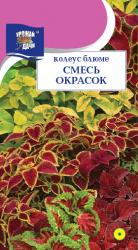 цв. одн. КОЛЕУС  БЛЮМЕ  СМЕСЬ  ОКРАСОК  50  см   / Урожай у Дачи / 