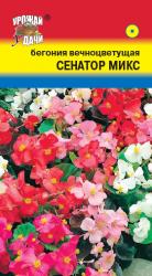 цв. одн. БЕГОНИЯ СЕНАТОР МИКС вечноцветущая / Урожай у Дачи /