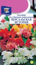 цв. комн. БЕГОНИЯ  ВЕРСАЛЬСКАЯ  ИСТОРИЯ  АМПЕЛЬНАЯ  МАХРОВАЯ / Урожай у Дачи /