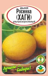 дыня РОСИНКА  ( ХАГИ )  скороспелая / АГРО САД /