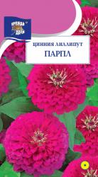 цв. одн. ЦИНИЯ  ЛИЛИПУТ  ПАРПЛ / Урожай у Дачи /
