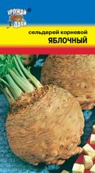 СЕЛЬДЕРЕЙ КОРНЕВОЙ ЯБЛОЧНЫЙ / Урожай у Дачи /