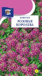 цв. одн. АЛИССУМ  РОЗОВАЯ  КОРОЛЕВА  / Урожай у Дачи /