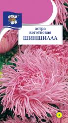 астра ШИНШИЛЛА коготковая / Урожай у Дачи /
