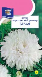 астра КОРОЛЕВСКИЙ РАЗМЕР БЕЛАЯ / Урожай у Дачи /