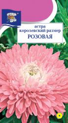 астра КОРОЛЕВСКИЙ  РАЗМЕР  РОЗОВАЯ / Урожай у Дачи / 
