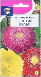 астра ПРИНЦЕССА ВЕНСКИЙ ВАЛЬС СМЕСЬ / Урожай у Дачи /