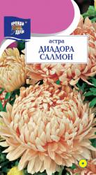 Астра ДИАДОРА САЛМОН пионовидная  / Урожай у Дачи  /																