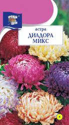 астра ДИАДОРА МИКС / Урожай у Дачи /