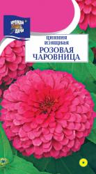 цв. одн. ЦИНИЯ  РОЗОВАЯ  ЧАРОВНИЦА / Урожай у Дачи /