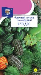 цв. одн. БЕШЕННЫЙ ОГУРЕЦ (МОМОРДИКА) ЛАЗАЮЩИЕ РАСТЕНИЕ / Урожай у Дачи /