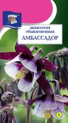 цв.мног. АКВИЛЕГИЯ АМБАСАДОР / Урожай у Дачи /