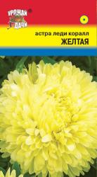 астра ЛЕДИ КОРАЛЛ ЖЕЛТАЯ / Урожай у Дачи /