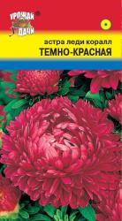 астра ЛЕДИ КОРАЛЛ ТЕМНО-КРАСНАЯ / Урожай у Дачи /