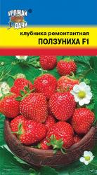 КЛУБНИКА ПОЛЗУНИХА F-1 ремонтантная / Урожай у Дачи /
