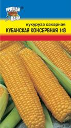 КУКУРУЗА КУБАНСКАЯ САХАРНАЯ 148 / Урожай у Дачи /