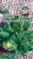 ПОДОРОЖНИК БОЛЬШОЙ ПОХОДНЫЙ ДОКТОР ЛЕКАРСТВЕННЫЙ / Седек /
