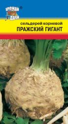 СЕЛЬДЕРЕЙ КОРНЕВОЙ ПРАЖСКИЙ ГИГАНТ / Урожай у Дачи /