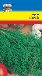 Укроп БОРЕЙ кустовой / Урожай у Дачи /