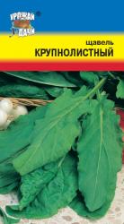 ЩАВЕЛЬ  КРУПНОЛИСТНЫЙ   / Урожай у Дачи /