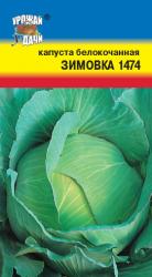 капуста ЗИМОВКА / Урожай у Дачи /