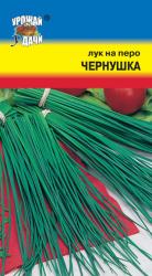 лук НА ПЕРО ЧЕРНУШКА / Урожай у Дачи /