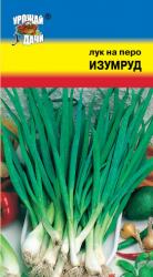 лук НА ПЕРО ИЗУМРУД КРУПНЫЙ / Урожай у Дачи /