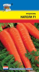 морковь НАПОЛИ F-1 сладкая, хорошо хранится / Урожай у Дачи /