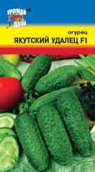 огурец ЯКУТСКИЙ УДАЛЕЦ F-1 Скороспелый / Урожай у Дачи /