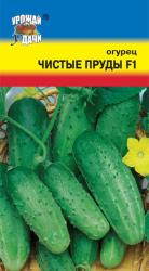 огурец ЧИСТЫЕ ПРУДЫ F-1 скороспелый / Урожай у Дачи /