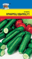 огурец ХРАБРЕЦ - УДАЛЕЦ  F-1  / Урожай у Дачи /