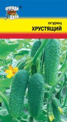 огурец ХРУСТЯЩИЙ / Урожай у Дачи /