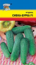 огурец СИВКА - БУРКА F-1 КОМНАТНЫЙ / Урожай у Дачи /