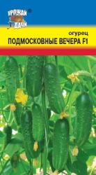 огурец ПОДМОСКОВНЫЕ ВЕЧЕРА F-1 САМООПЫЛЯЕМЫЙ / Урожай у Дачи /