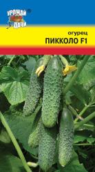 огурец ПИККОЛО F-1 УЛЬТРАРАННИЙ / Урожай у Дачи /