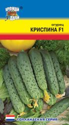 огурец КРИСПИНА F-1 ранний, 10-12 см / Урожай у Дачи /