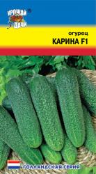 огурец КАРИНА F-1 Ультраскороспелый / Урожай у Дачи /
